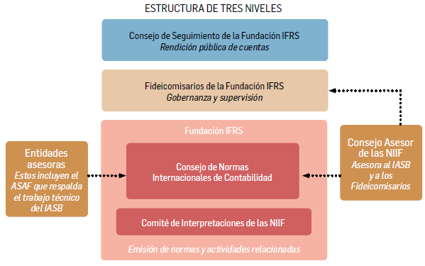 FIGURA 2.   Estructura institucional de la Fundaci&oacute;n IFRS