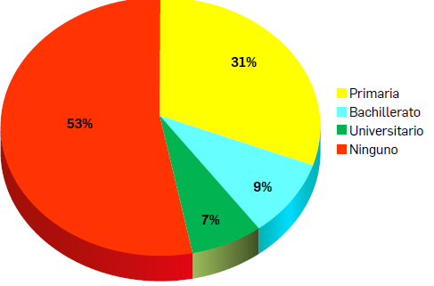 FIGURA 3.   Nivel de estudios
